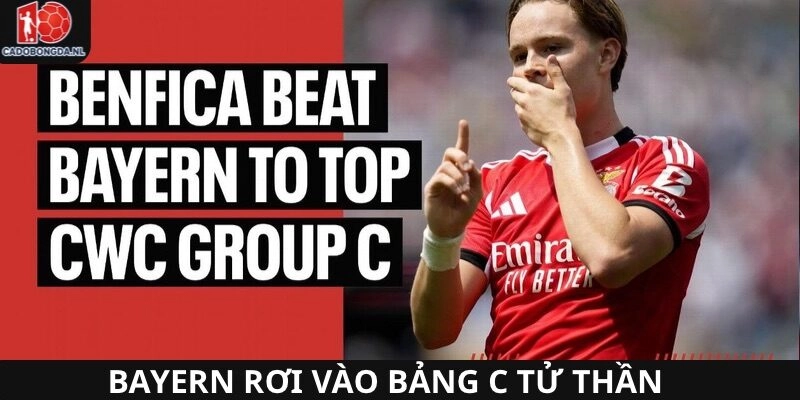 Bayern sẽ phải vượt qua bảng C và các trận Knock-out