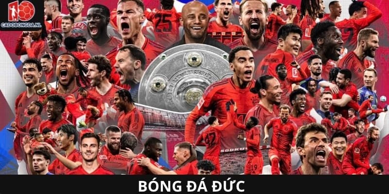 bóng đá đức
