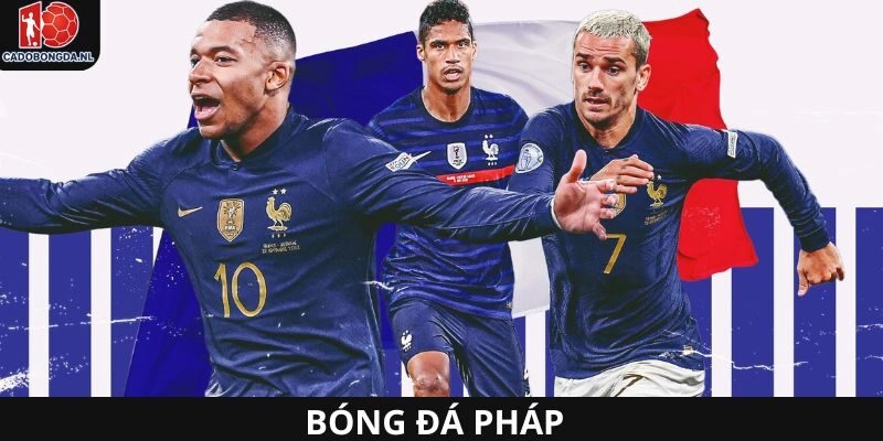bóng đa Pháp