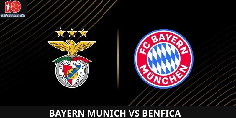 Dự đoán Bayern Munich vs Benfica tại FIFA Club