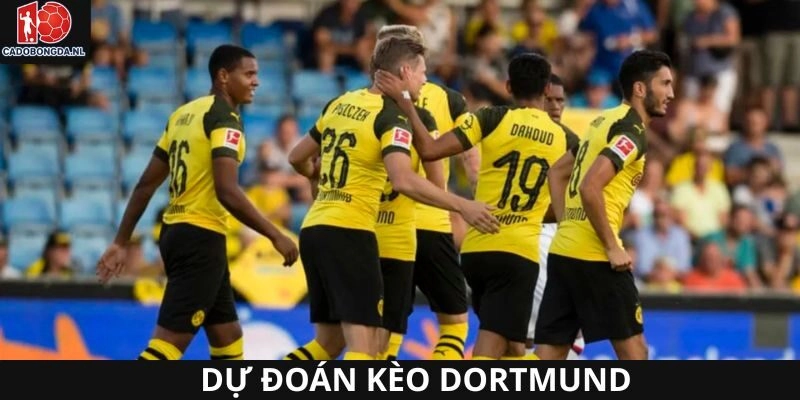 Dự đoán kết quả Dortmund trong những trận sắp tới