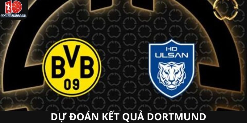 Dự đoán kết quả Dortmund chuyên sâu các trận sắp tới