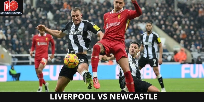 Vòng hai ngoại hạng Anh có sự xuất hiện của Liverpool và Newcastle
