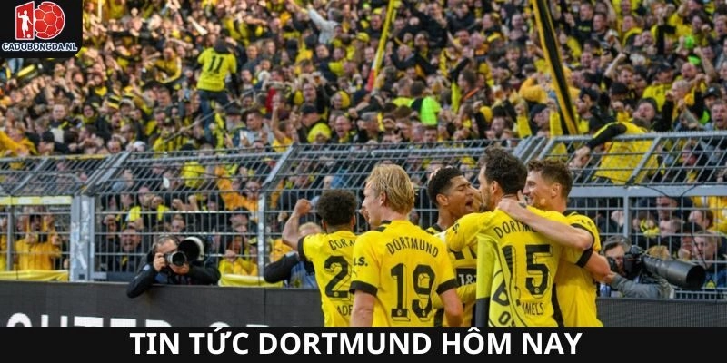 Tin tức mới nhất giúp dự đoán kèo Dortmund hiệu quả