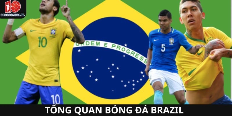 Tổng quan bóng đá Brazil và tính hình mới nhất hiện nay