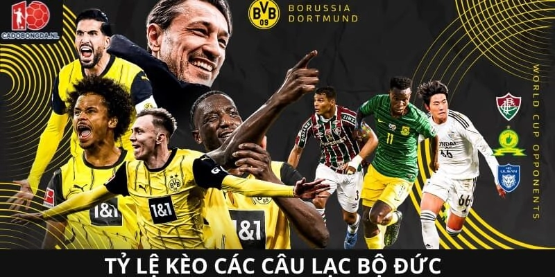 Tỷ lệ kèo bóng đá Đức được quan tâm nhất hiện nay
