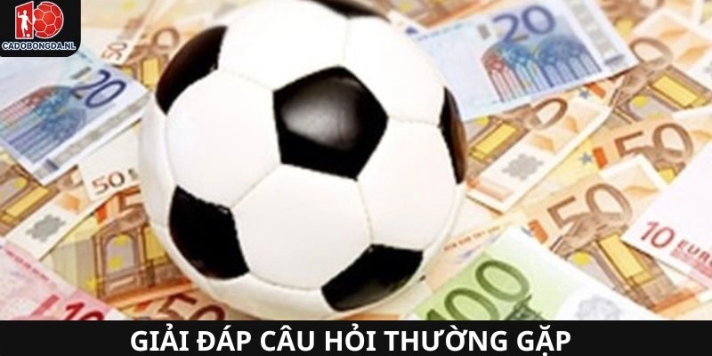 Giải đáp câu hỏi thường gặp giúp người dùng hiểu về đơn vị