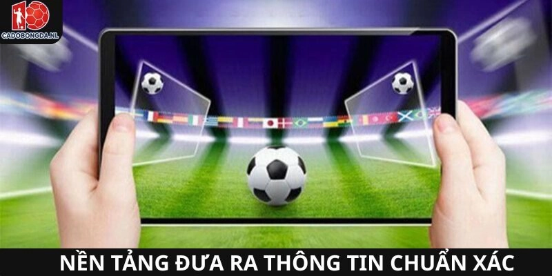 Cam kết cập nhật tin tức hot nhất thị trường