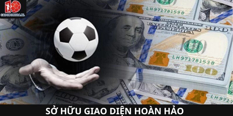 Cadobongda sở hữu giao diện hoàn hảo