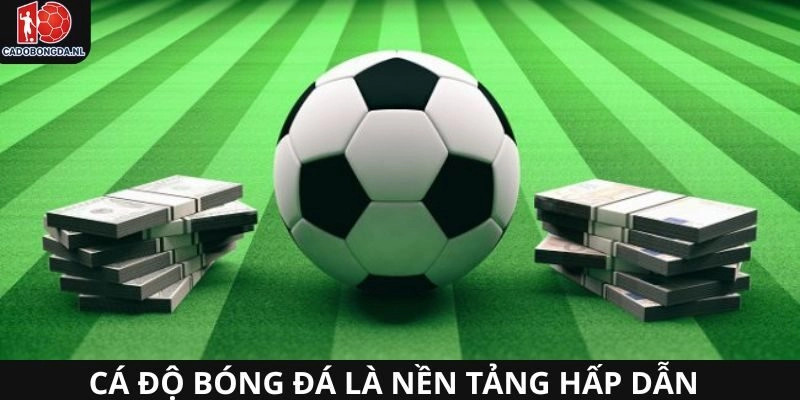 Cá độ bóng đá là nền tảng giải trí hấp dẫn nhất hiện nay
