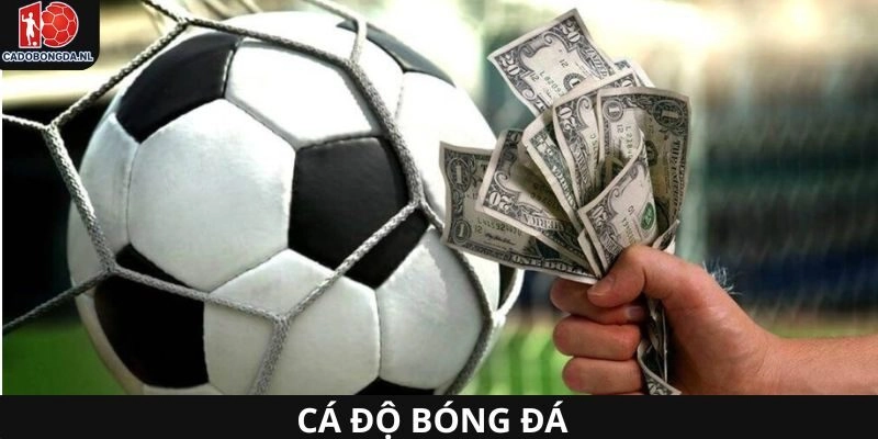 KQBD cho phép cập nhật dữ liệu chi tiết