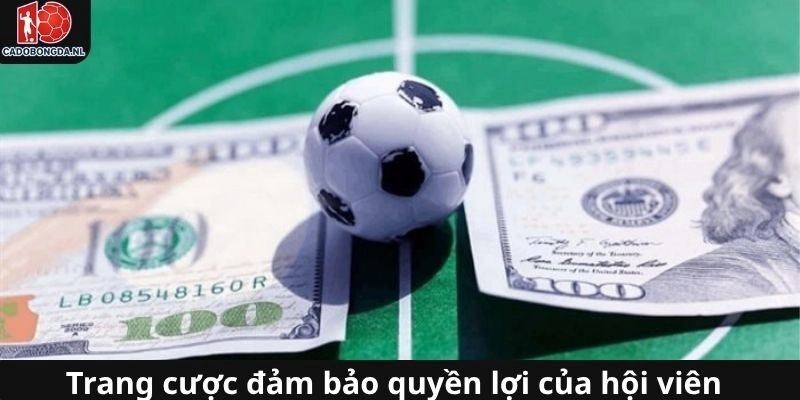 Đảm bảo quyền lợi người tham là nghĩa vụ của trang web