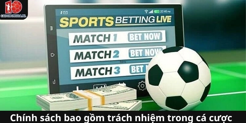 Trách nhiệm của người chơi liên quan đến hoạt động cá cược