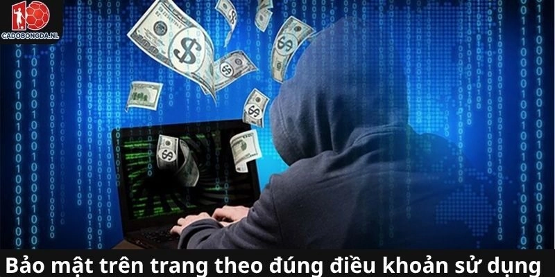 Quy định bảo mật áp dụng trong điều khoản sử dụng