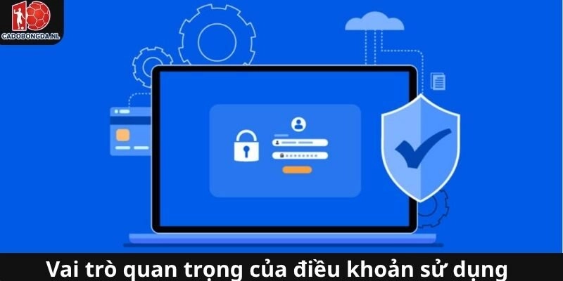 Chính sách điều khoản sử dụng có vai trò quan trọng