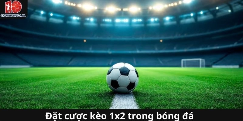 Đặt tiền với kèo 1x2 sống động theo giới thiệu của trang web