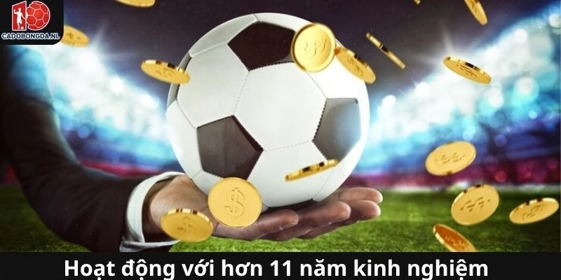 Website cá cược siêu hấp dẫn với 11 năm kinh nghiệm