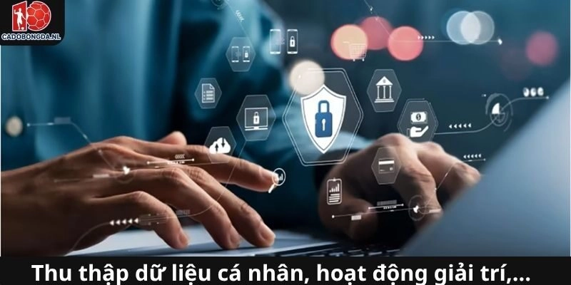 Thu thập đầy đủ tài khoản theo chính sách riêng tư
