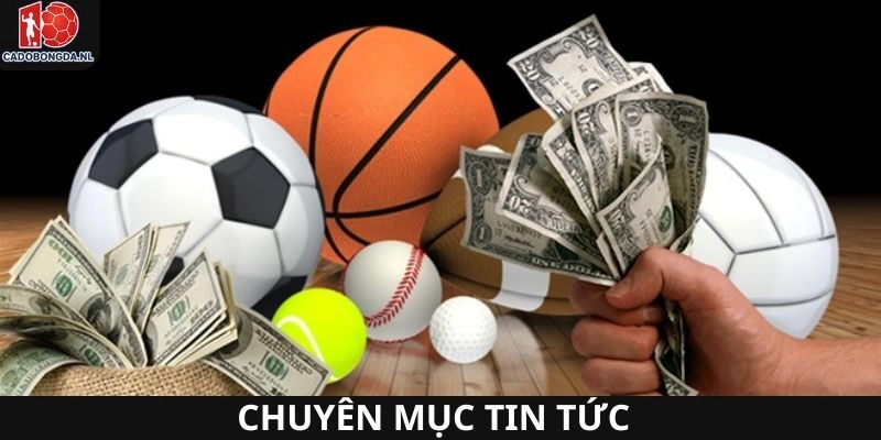 Chuyên mục tin tức giúp tối ưu trải nghiệm